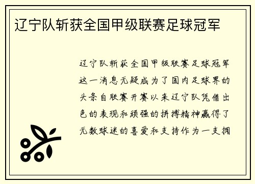 辽宁队斩获全国甲级联赛足球冠军